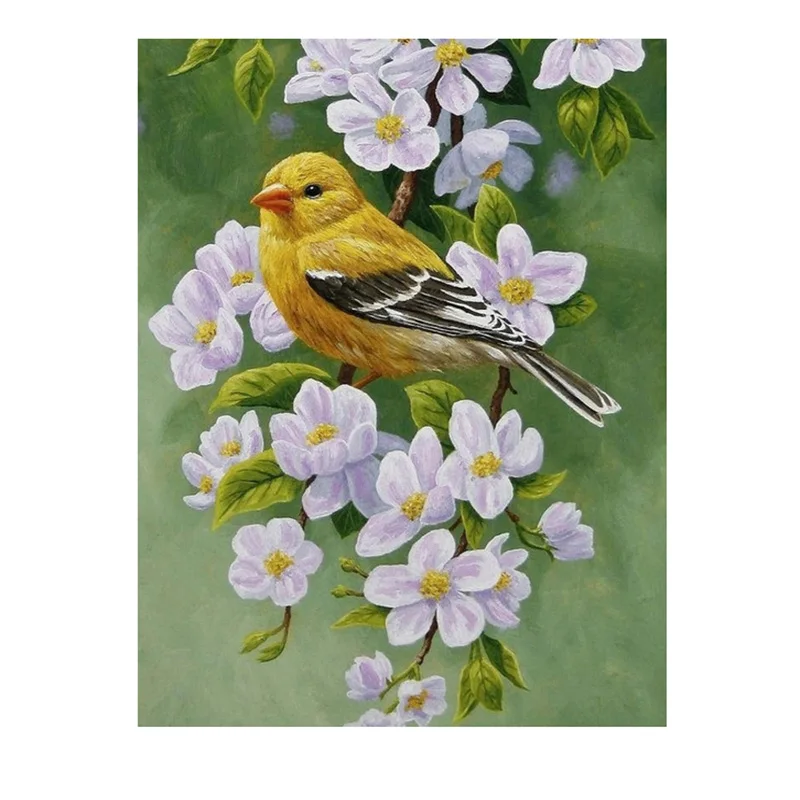 

5D Square Diamond Painting Bird Cross Stitch Kit Embroidery Rhinestone Home Decor Needlework