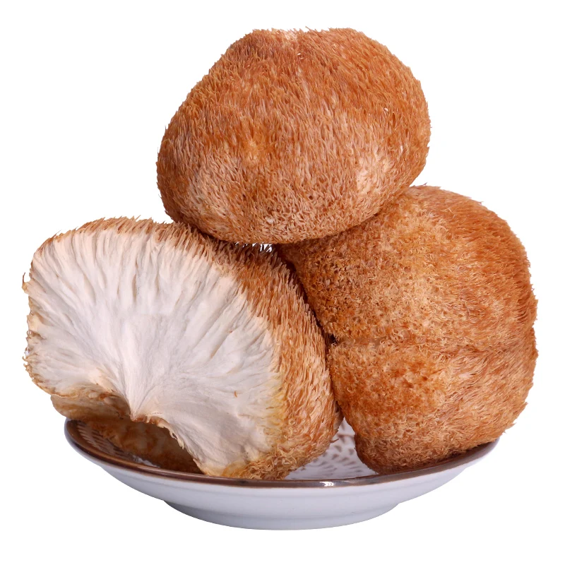 

Hericium dry monkey mushroom thou farmland dry fresh hericium mushroom fungus mushroom hericium erinaceus hericium mushroom