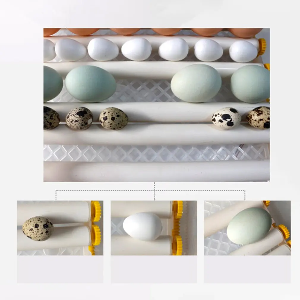 Полностью автоматический маленький бытовой инкубатор с 16 яйцами для яиц