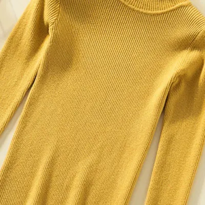 

Autumn Winter Women Knitted Turtleneck Sweater Casual Soft Polo-Neck Jumper Fashion Slim Female Elasticity Pullovers