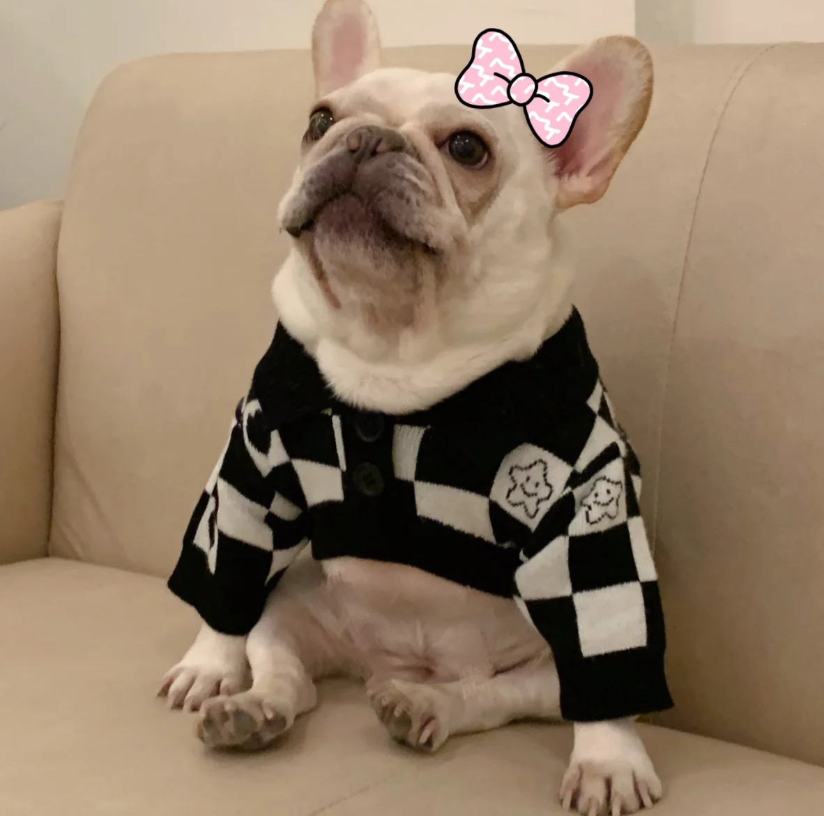 

Dog Clothes Sweater Small Dog Teddy Schnauzer Bomei Keji Guibin Cat Pet Winter Luxury Dog Clothes