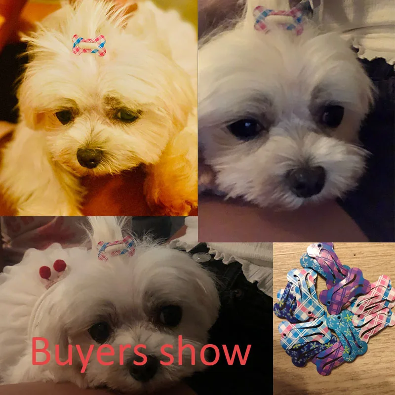 Заколка для волос с костями 20/30 шт./лот аксессуары шерсти котят и щенков маленьких