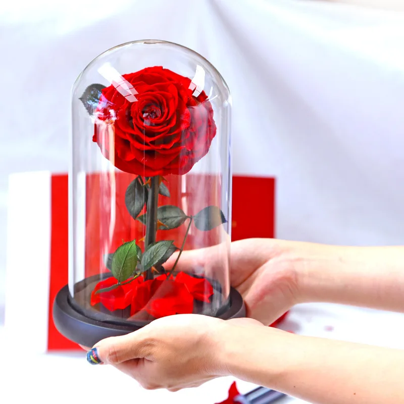 

New Beauty and The Beast Roses Preserved Flowers Red Eternal Rose Flower In Glass Dome Valentine Gift For Girlfriend Dropshiping