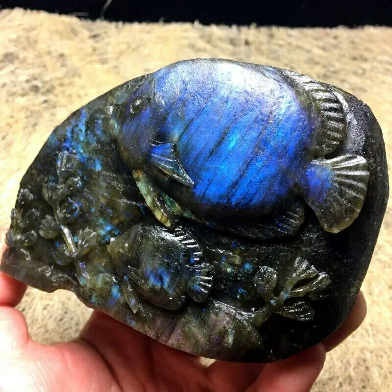 

1PC Natural Blue Labradorite Carved Crystal Fish Home Decor Undersea World