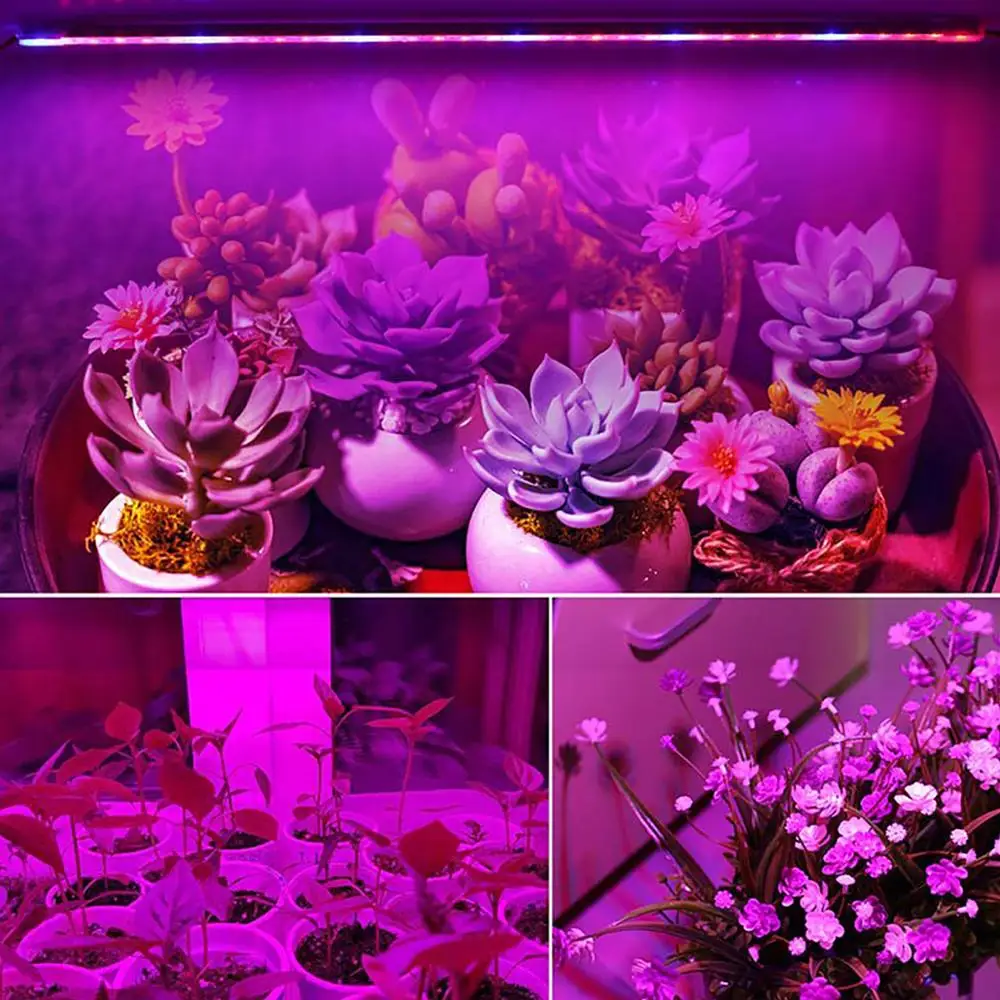 

57cm 29cm T5 Tube Led Grow Light phyto lamp AC 85-265V EU US Plug phytolamp for plants growth flower seedling grow light