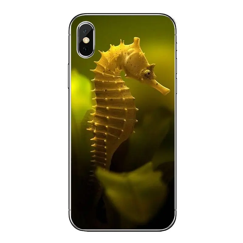 For Samsung Galaxy Note 8 9 S9 S10 A8 A9 Star Lite Plus A6S A9S Soft Transparent Cases Covers sea horse Rainbow Seahorse Pattern |