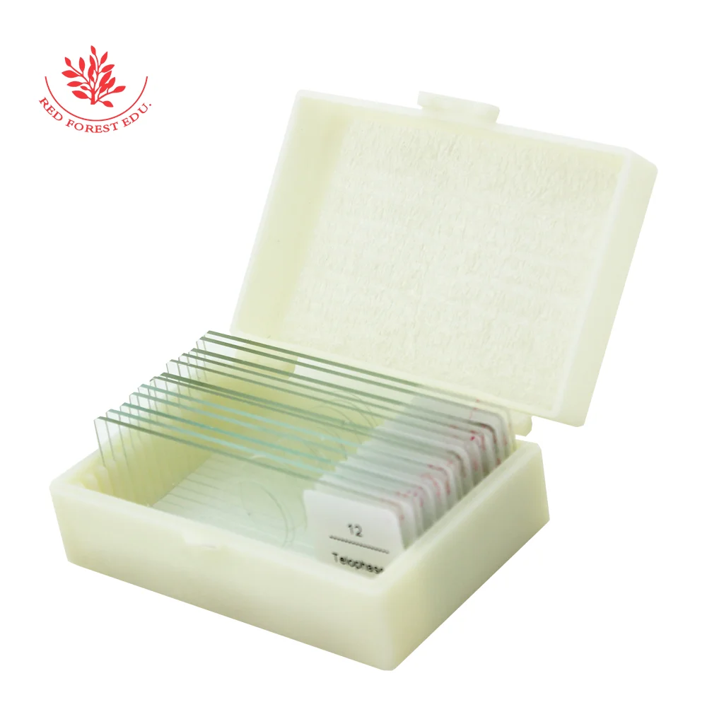 Слайды подготовленные для микроскопа Митоз и миоз растений с образцами обучения