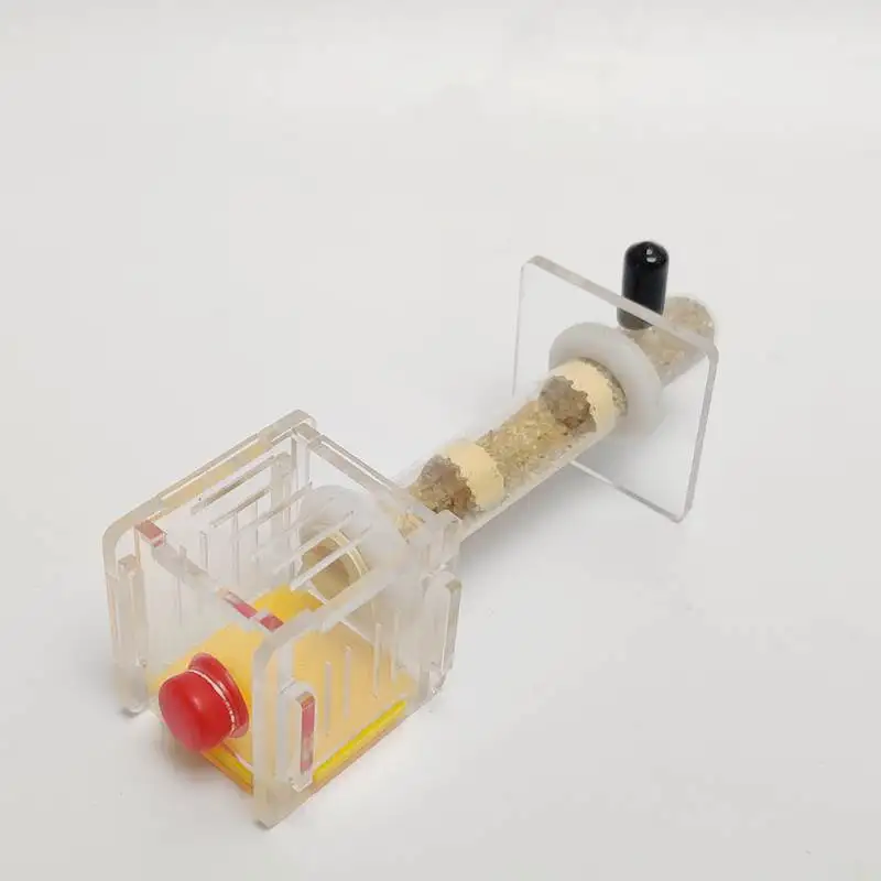 Муравьи гнездо фермы с областью и бамбуковой соединительной трубкой|Товары для