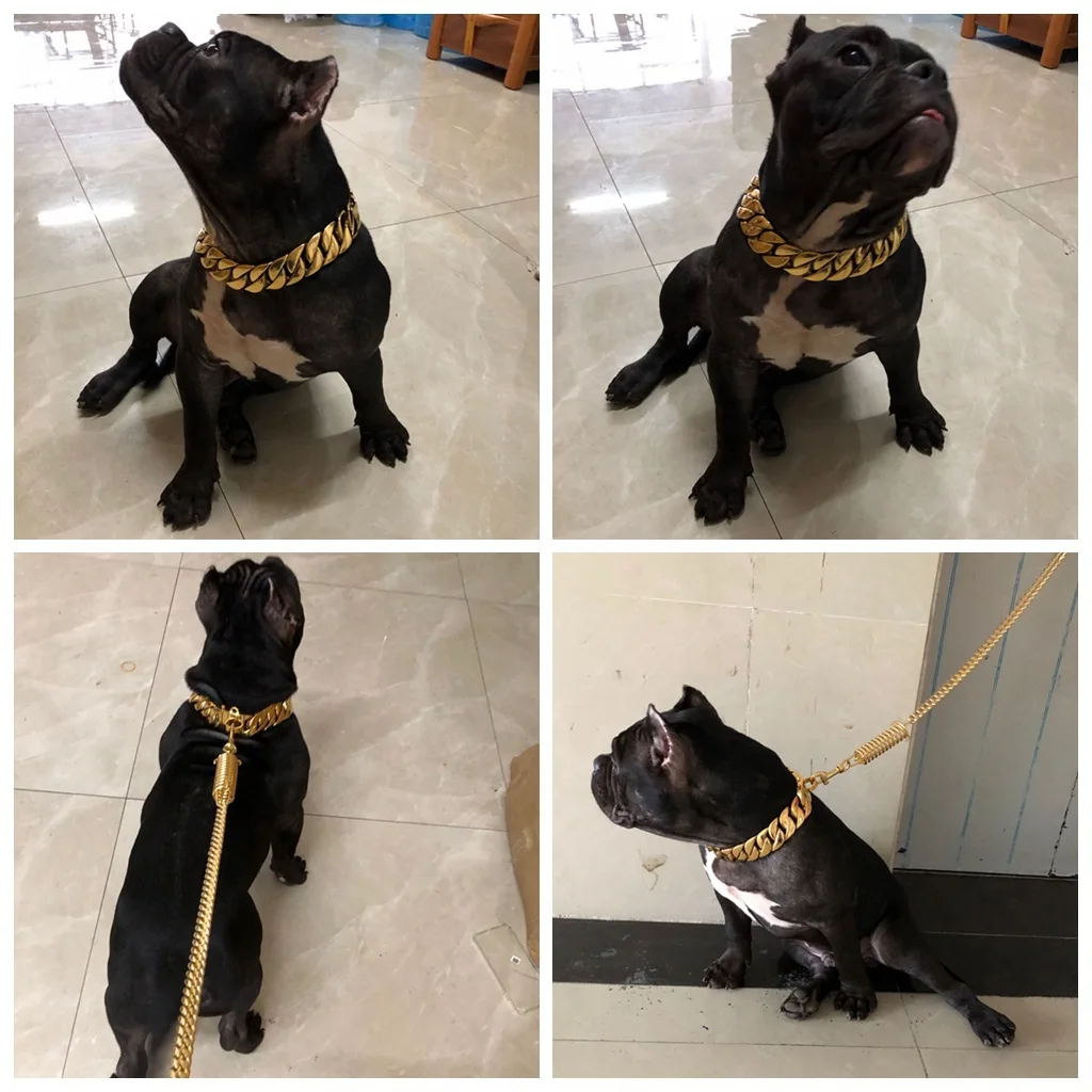 Online Catena Per Cani Di Lusso 32Mm Catena In Oro Grande Collana Per Cani Media E Grande Collare Per Cani Bully Collare Per Animali Domestici In Acciaio Inossidabile Oro 24 Carati