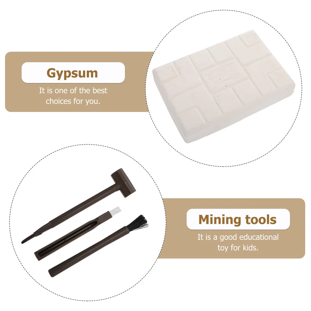 

1pc Delicate Durable Fossil Premium DIY