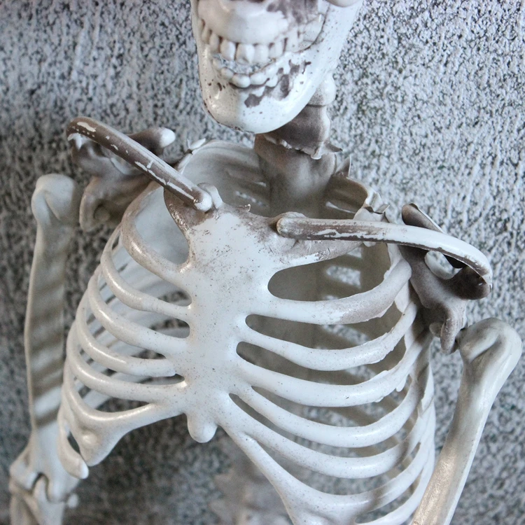 

New Halloween Skeleton, Full Body Halloween Skeleton, Skeleton with Movable Joints for Halloween Decoration