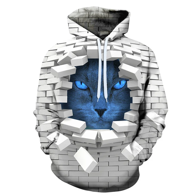 Разрушенная стена отверстие кошка 3d печати толстовки Толстовка мужчины и