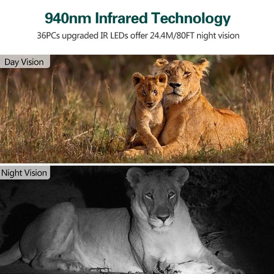 HC801A Охота Камера фото ловушка 20MP ночная версия след HC-801A дикий Дикий Наблюдения