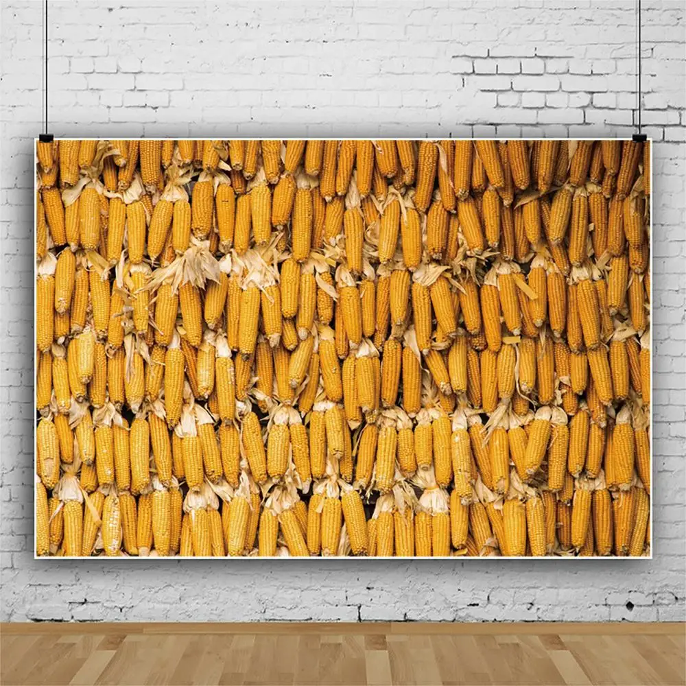 Laeacco осень для фермы кукурузы Cob награда сцена фотографии пейзажные картины