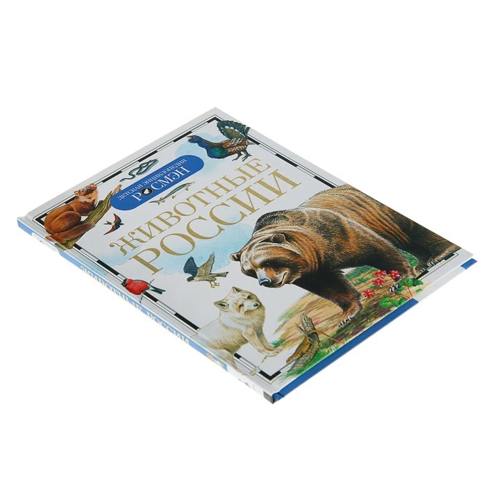 Детская энциклопедия РОСМЭН Животные России 559704 |