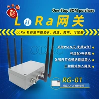 rg 01 lora concentrator private protocol gateway with lora module fm anti jamming rg 01
