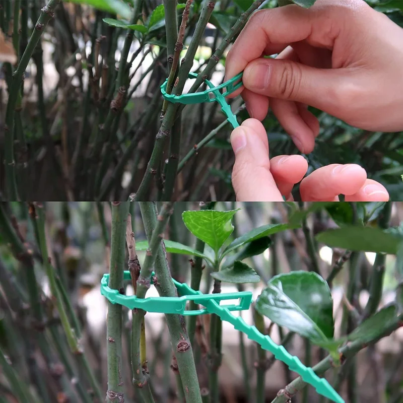 

Adjustable Garden Plant Wrap Tie, 9.1" (approx. 23 Cm) Elastic Plastic Wrap Tie, Multipurpose Safety Vine (Green) FY