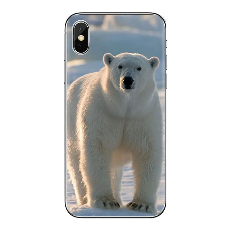 Для samsung Galaxy S3 S4 S5 Mini S6 S7 Edge S8 S9 S10 Plus Note 3 4 5 8 9 Polar bear на пляже Аляски силиконовые