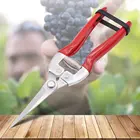 Садовые ножницы для обрезки и обрезки деревьев, секатор