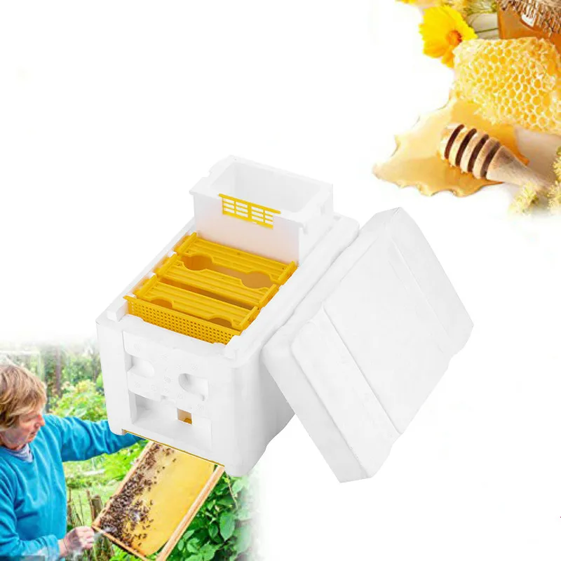 

Bee King Tail Box Mini Pet Box High Density Foam King Box Bee Bee Hive Complete Beekeeping Tool WF603225