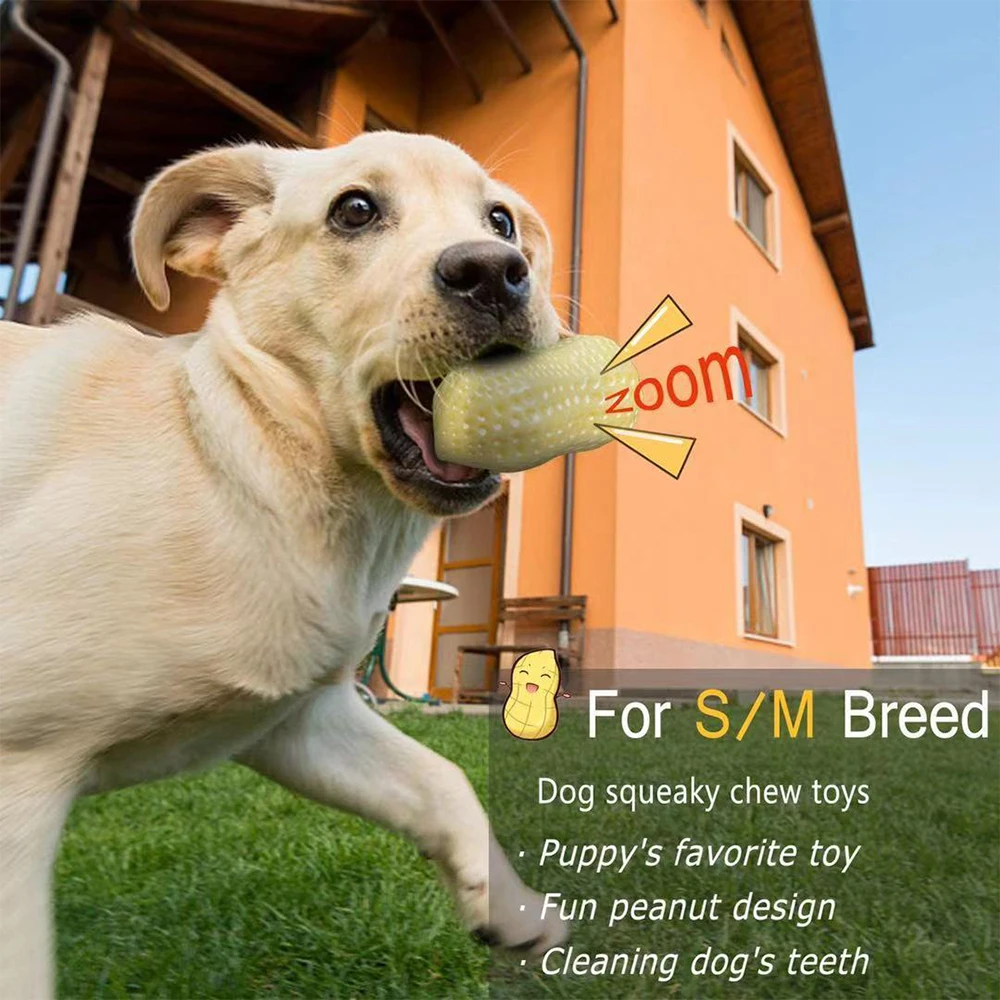 

Pet Trainer Toys for Small Middle Dogs Bite Resistant Puppy Cat Dog Rubber Peanut Clean Tooth Chew Toy