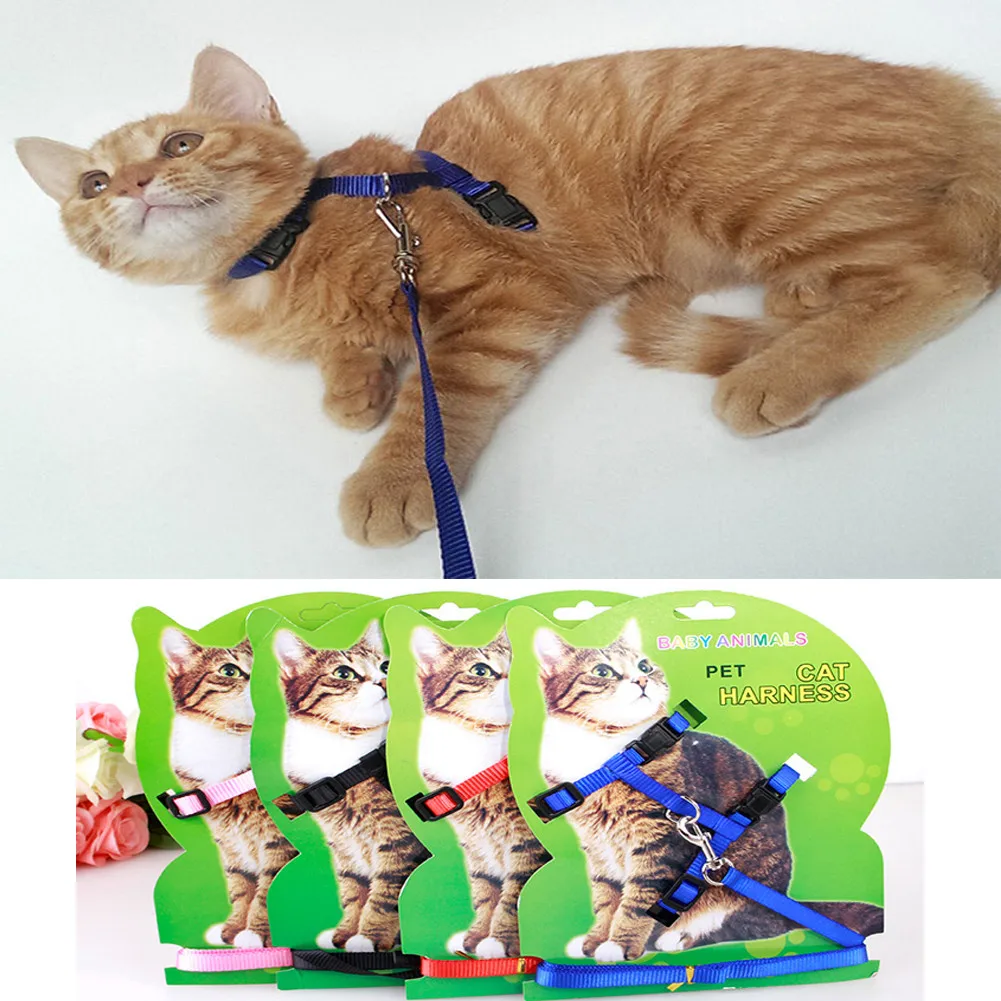 Ошейник и поводок для кошек регулируемый нейлоновый аксессуар прогулок с