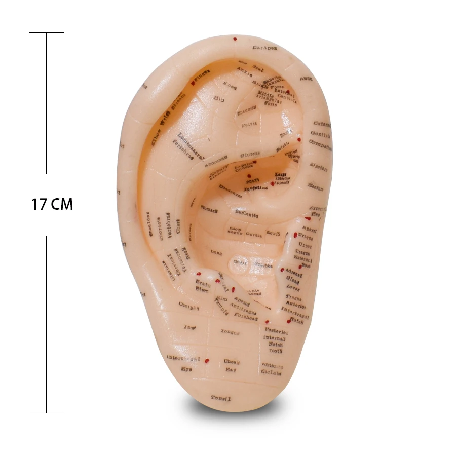 Английская версия ушных акупунктурных наушников Модель аурикулярного