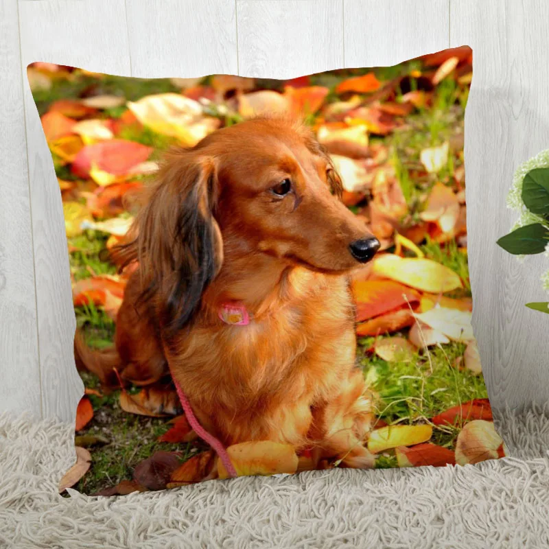 

Die Dackel Kissen Abdeckung Anpassen Kissenbezug Moderne Home Dekorative Kissen Fall Für Wohnzimmer 45X45cm,40X40cm EINE 2020.4.