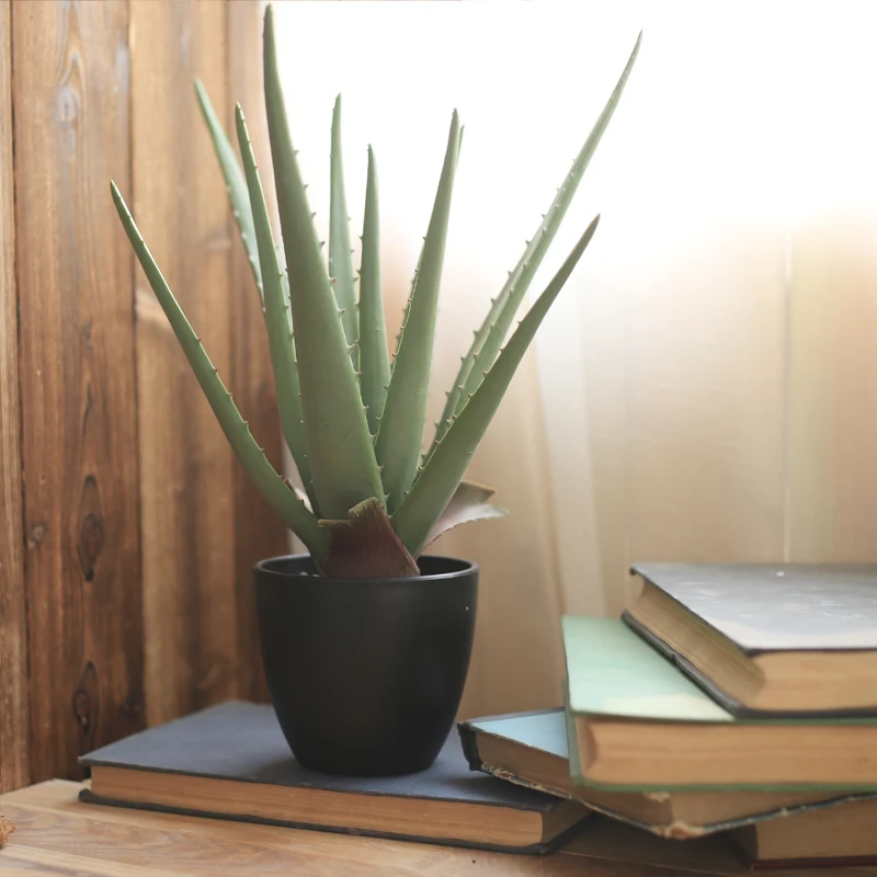 

Домашний декор в горшке, Искусственный ландшафт, искусственные суккулентные растения, рождественское свадебное украшение, настольные укра...