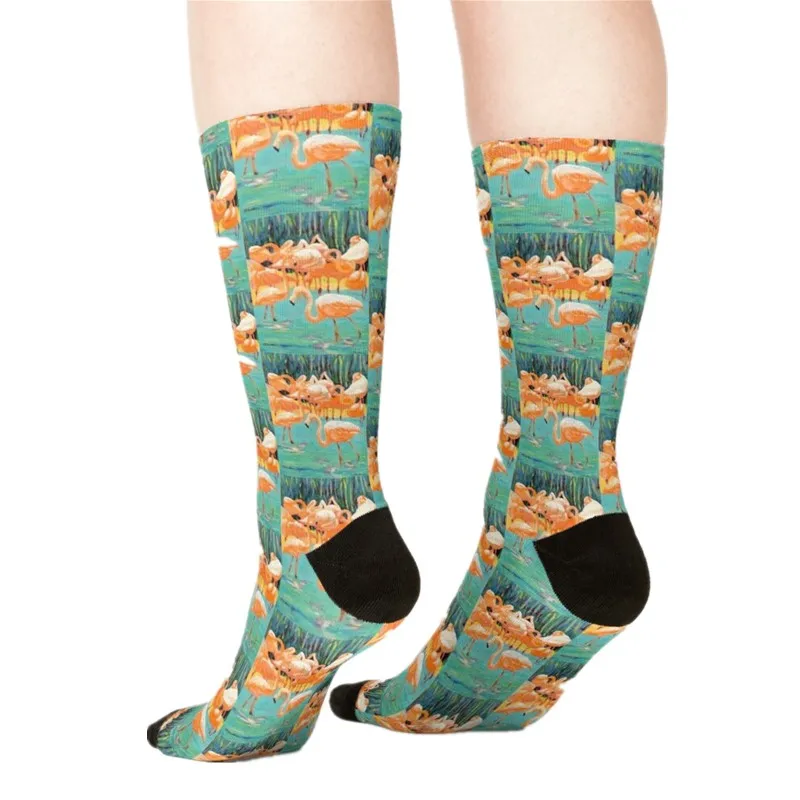 

Women's Socks & Hosiery