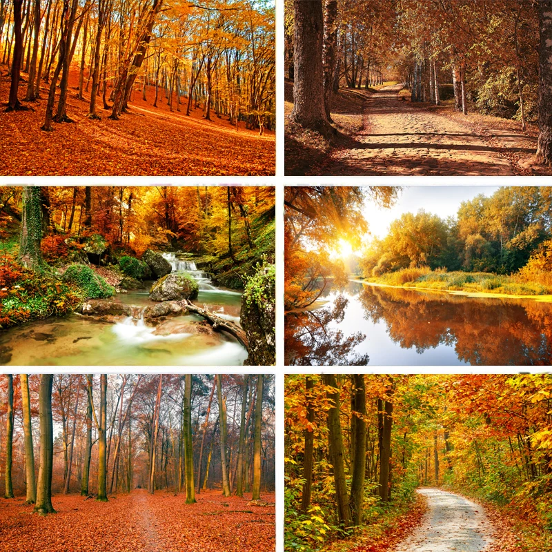 Реквизит для фотосъемки Nitree Виниловый фон осенний лес дерево желтых опавших