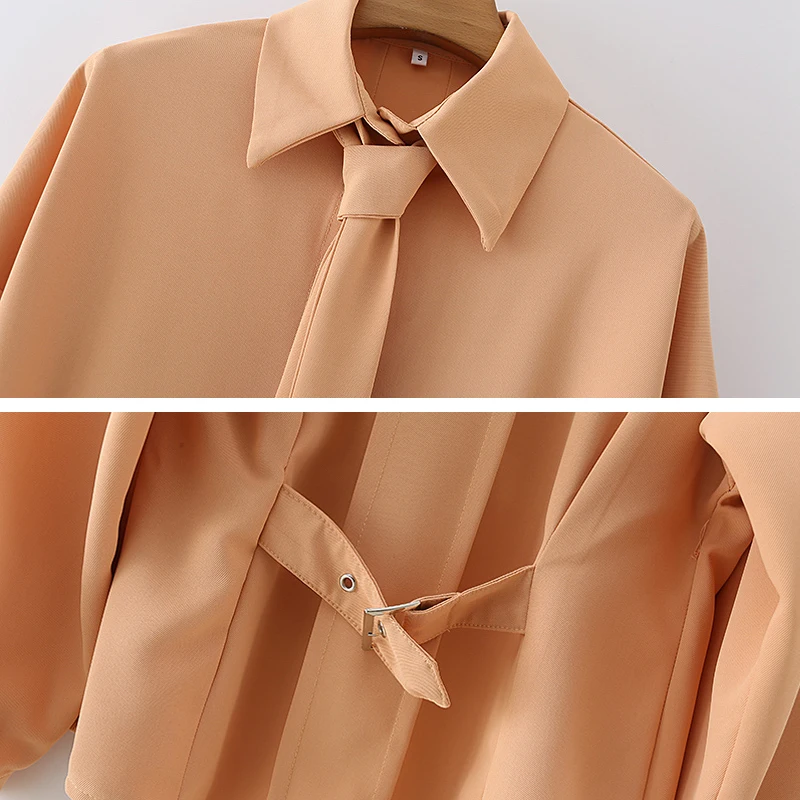 

Office ladies Bow tie blouse Solid 2021 Spring Long sleeve Turn down collar Female Shirt tops Loose BF Style Blusas YNZZU IT049