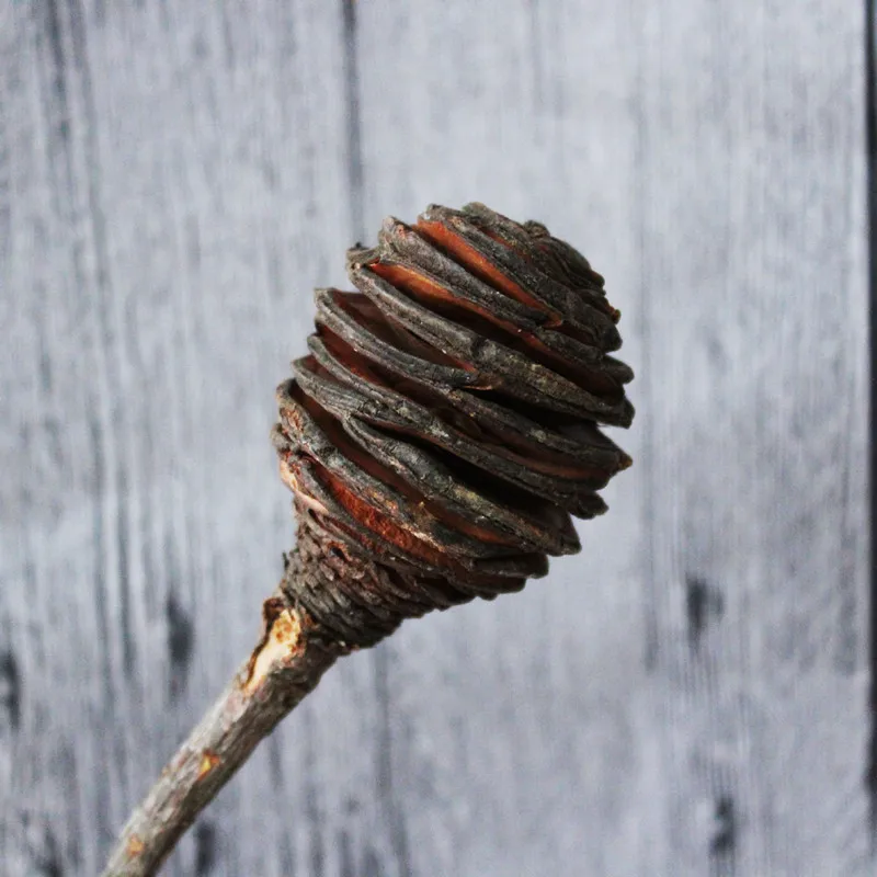 

Natural Plants Dried Flowers Eternal Photo Props Nordic Home Decoration Bar Layout Christmas Easter Festive Soft Furnishings