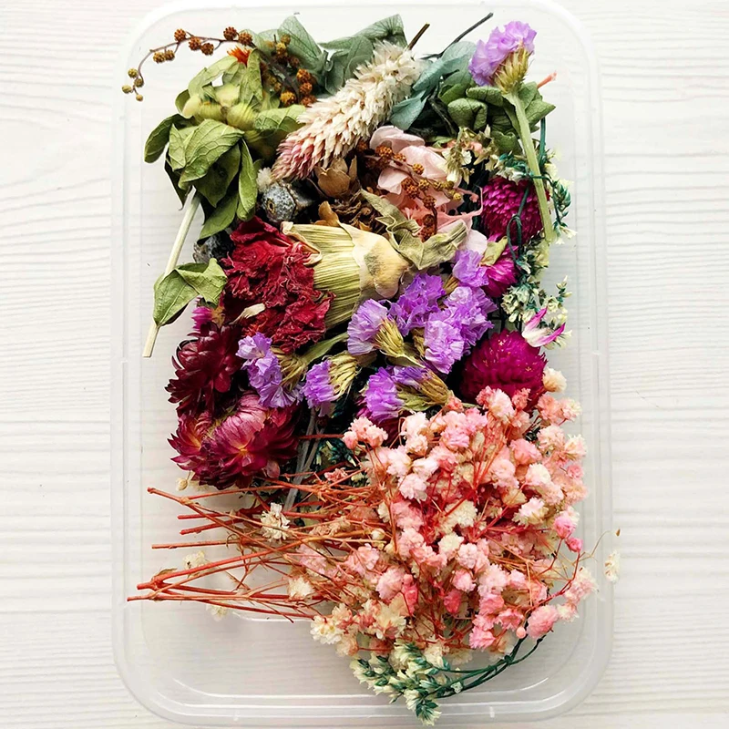 

New Hot Dried Flowers Package Mixed Eternal Flowers and Foliage for DIY Aromatherapy Candles Greeting Card Epoxy Craft Decor