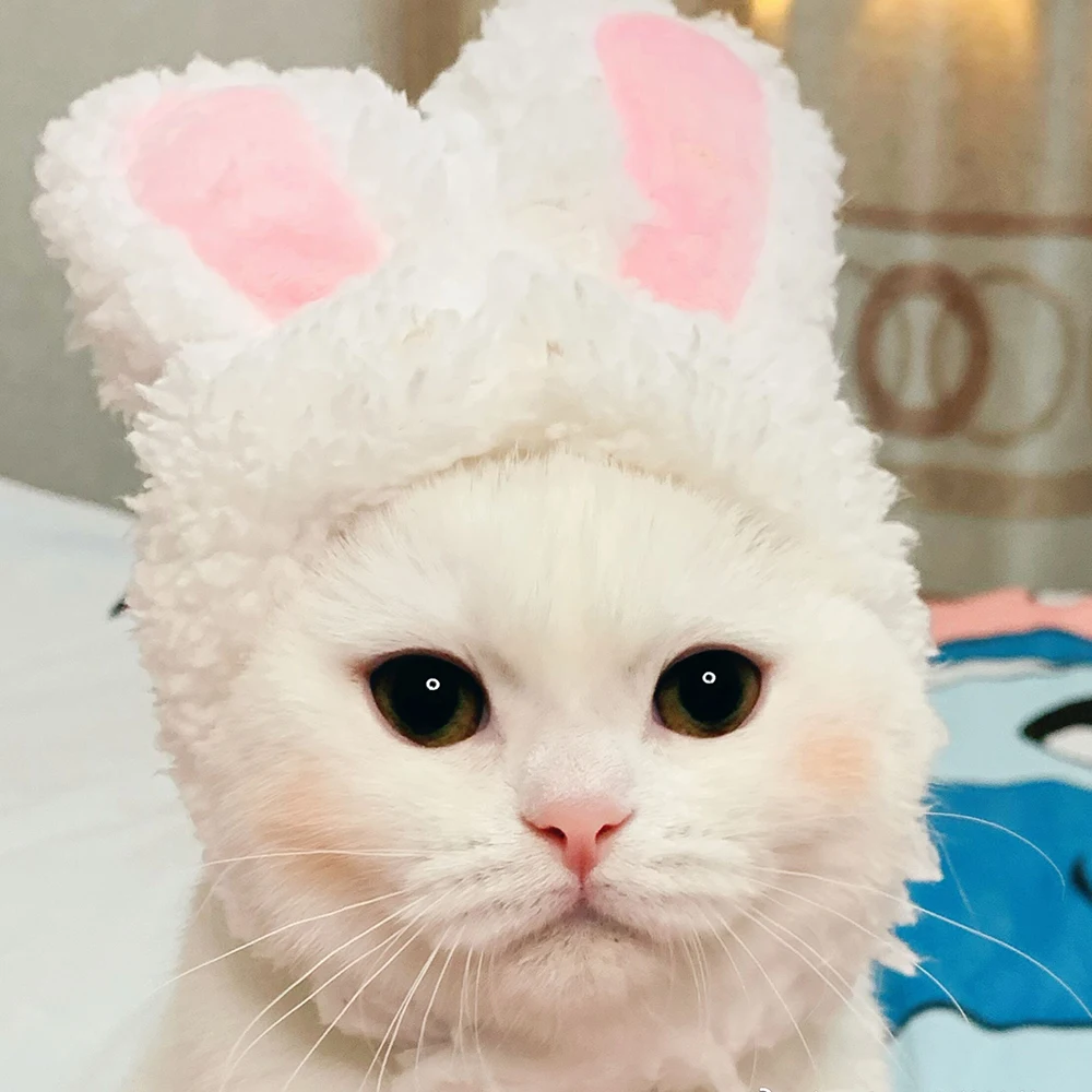 Шляпа с кошачьими ушками Cuttie для костюма кошки костюм косплея новогодний одежда