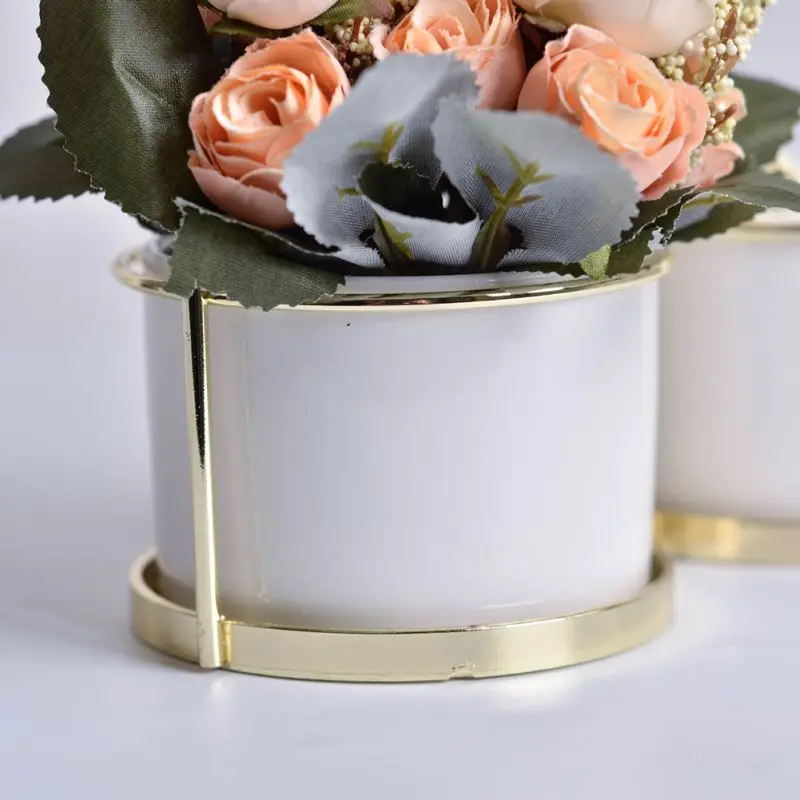 Декоративные растения суккуленты цветочный горшок птица круглая рама