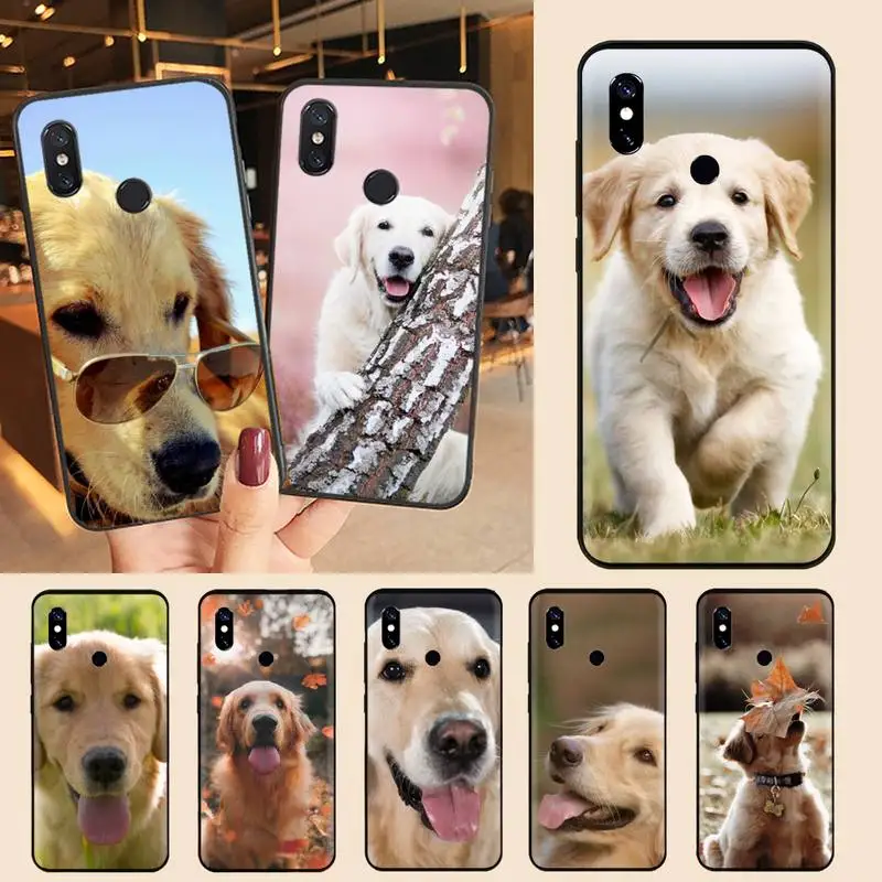 

Golden retriever dog cute Phone Case For Xiaomi Redmi note 7 8 9 11 t s 10 A pro lite funda shell coque cover