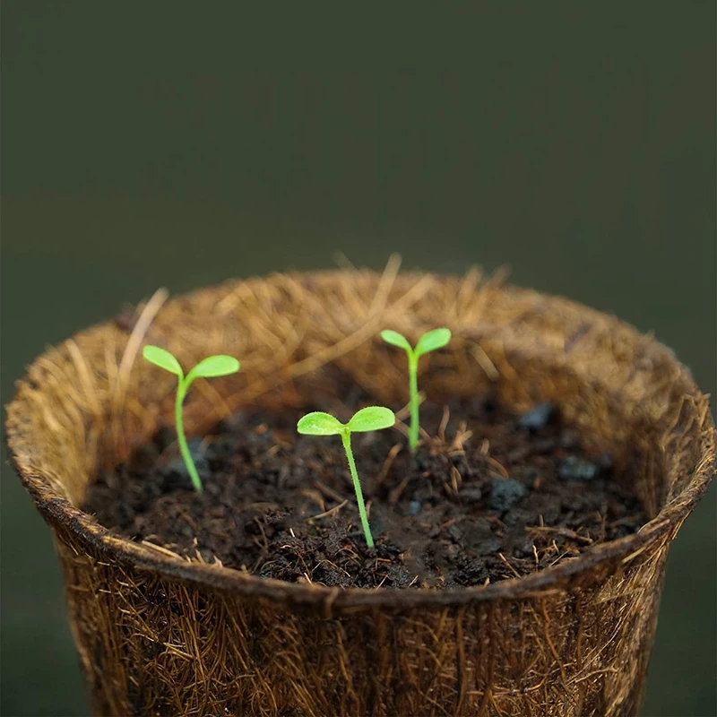 

48 Pack Coco Coir Pots Biodegradable Plant Labels Mini Starter Pots for Flower and Saplings