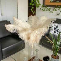 10pcs high quality khaki ostrich feathers 15 70cm diy natural plumes for crafts party home decoration wholesale