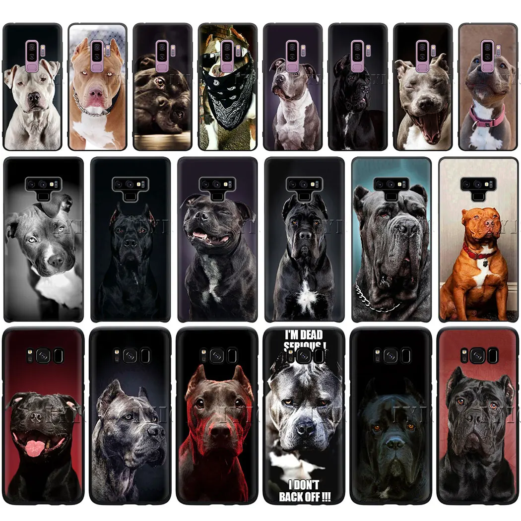 Питбуль прекрасная собака защитный чехол для телефона мягкий samsung 10 плюс A10S A20S A30S