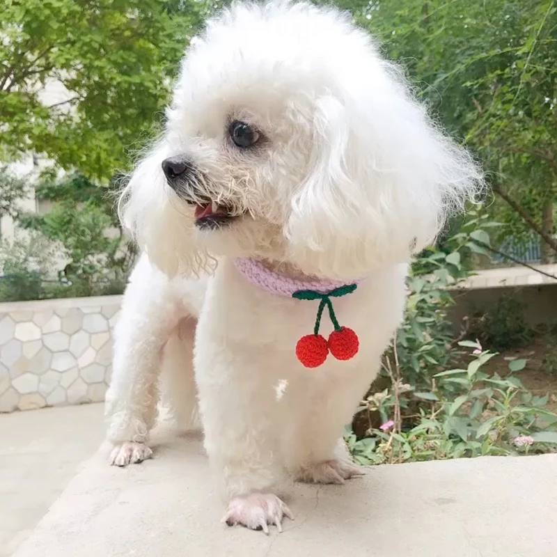 

New woolen cherry knitting pet supplies cute teddy puppet kitty handmade dog cat cat knitting collar jewelry J6A4544