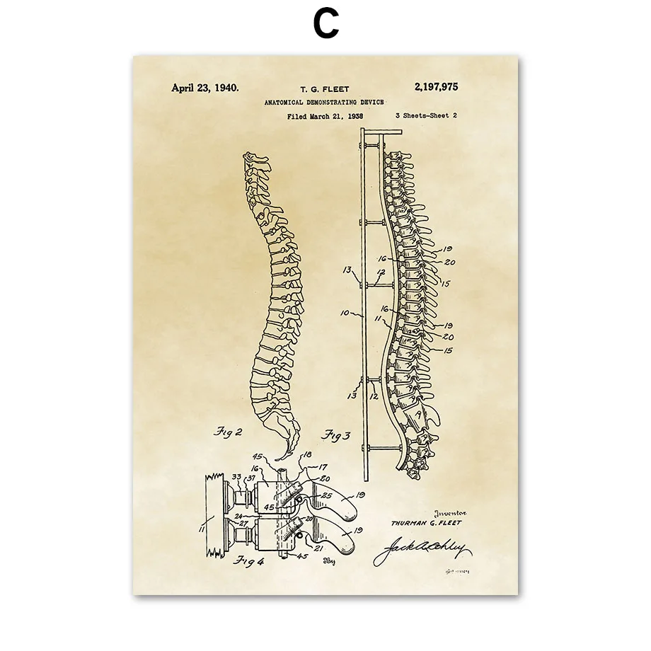 

Hospital Medicine Human Anatomy Muscle Skeleton Wall Art Canvas Painting Nordic Posters And Prints Wall Pictures For Living Room