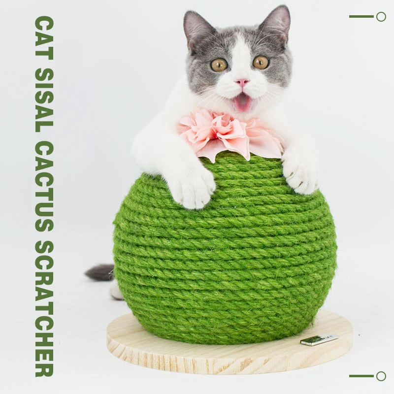 

Toy for Cat Scratcher Board Sisal Cactus Tree Toys Scratching Post for Cats Paw Grinding Pet Kitten Climbing Frame Nail Scraper