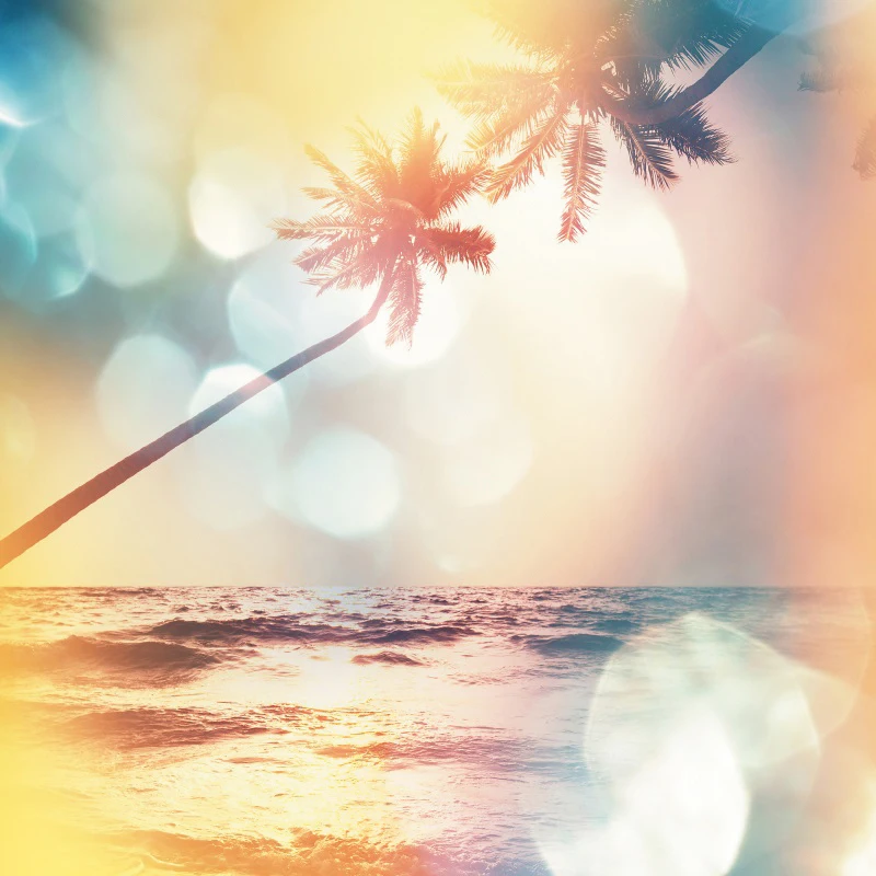 

Laeacco Dreamy Summer Beach Light Bokeh Scene Plam Tree Sea Photography Background Photocall Photo Backdrop For Photo Studio