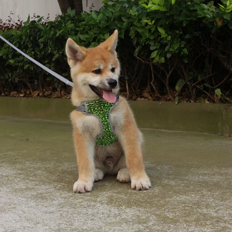 Шлейка для собак жилет Холщовый и светоотражающий шлейф маленьких средних