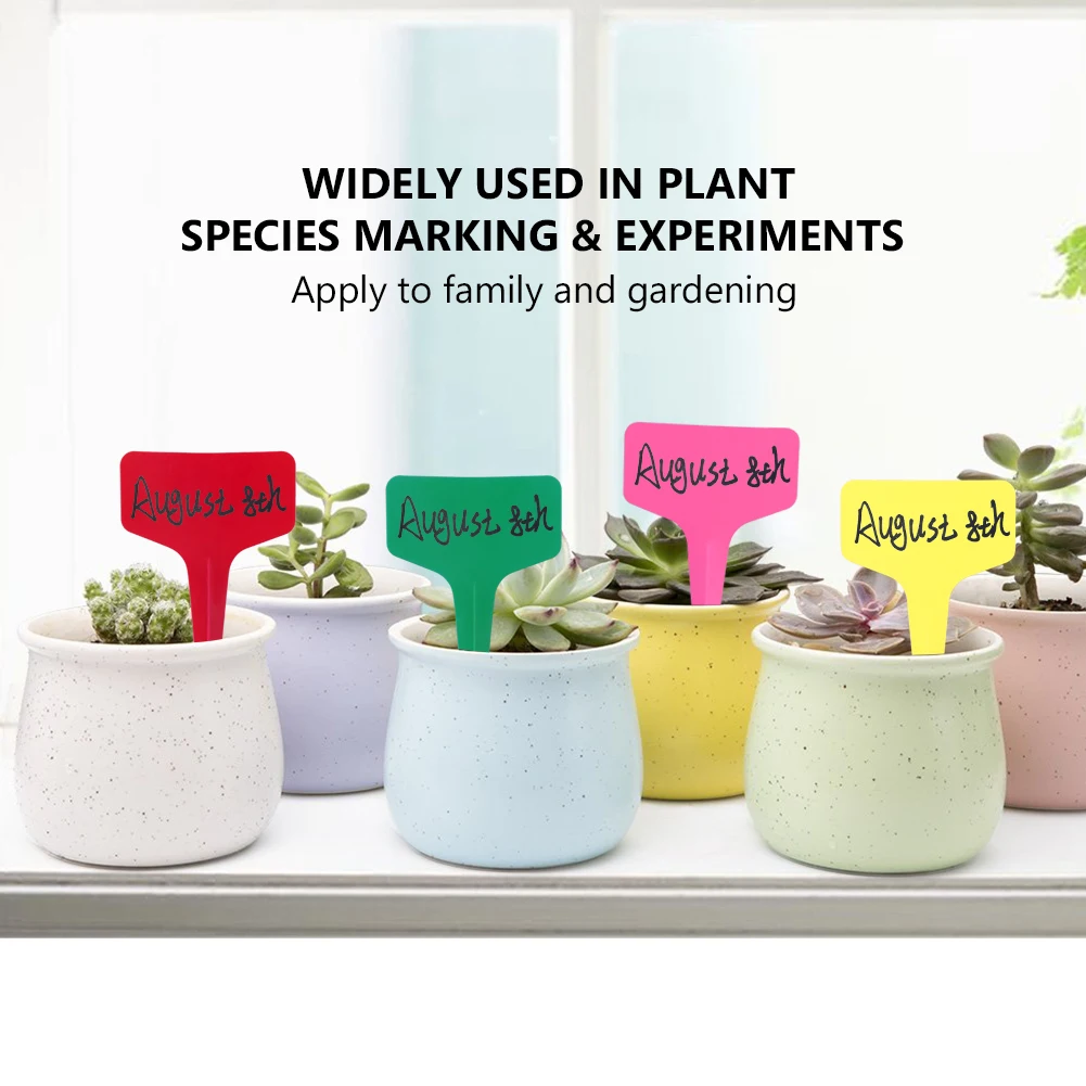 

300pcs Tree Flower Pots Seedling Plant Plastic 3 Type Convenient Waterproof Mark for garden Tags Nursery Labels Thick Tag Tray