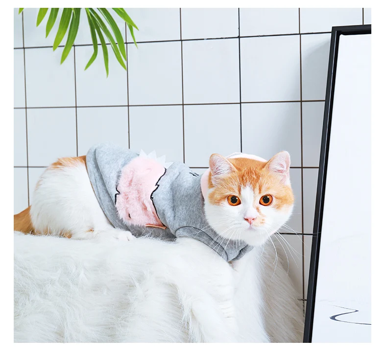 Hoopet одежда для домашних животных, котов собака пальто костюм плюшевого медвежонка на щенков и небольших собак, платье принцессы, одежда для кошек