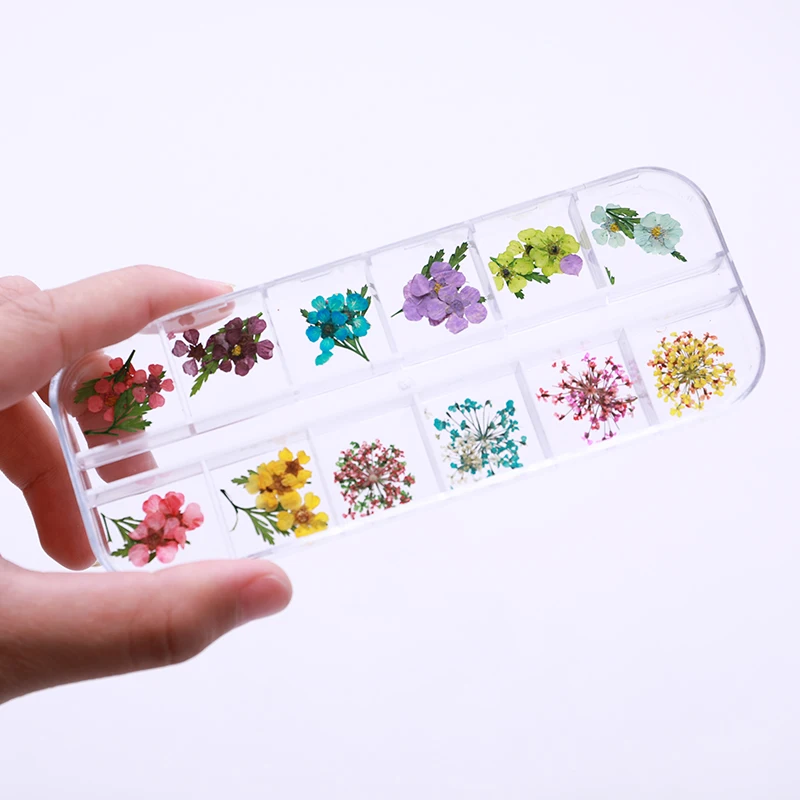 

Real DIY Dry Dried Flower Leaves 3D UV Gel Acrylic False Tips Colorful Nail Art Decals Mold Fillings Jewelry Nail Decoration