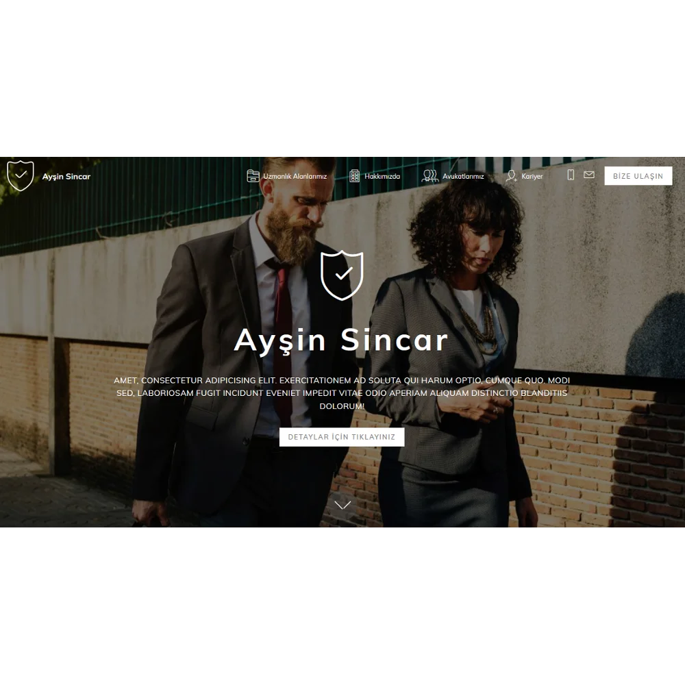 

Техническая веб-страница Semtasoft Commercial 2 (веб-страница компании)