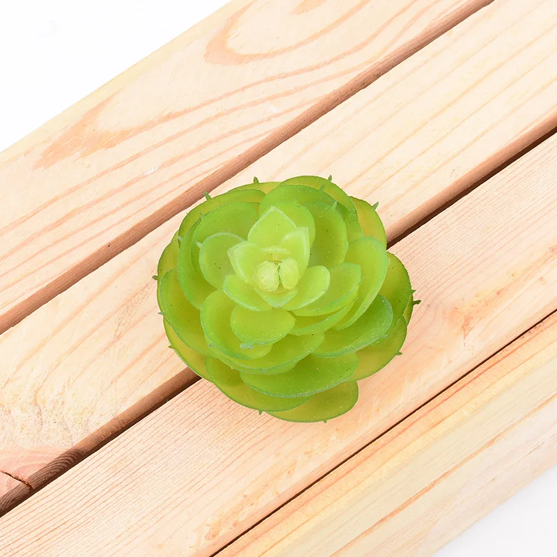 Имитация суккулентных растений-роза с круглым сердечником и суккулентами | Дом